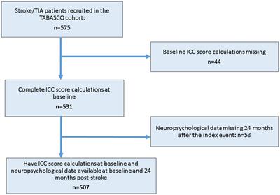 Association between intracranial vessel calcifications, structural brain damage, and cognitive impairment after minor strokes: a prospective study